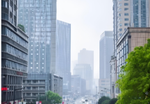 最新回应：两江新区建新东路部分路段未设置生活垃圾箱