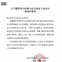重庆一小区业委会被撤销备案