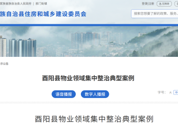 酉阳县物业领域集中整治典型案例