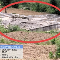 蓄水池长期闲置浪费国家资金未发挥作用