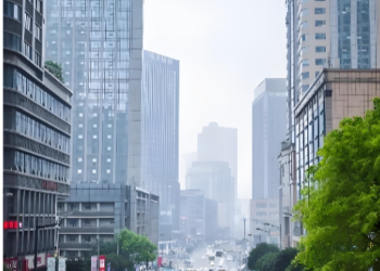 最新回应：两江新区建新东路部分路段未设置生活垃圾箱