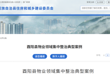 酉阳县物业领域集中整治典型案例