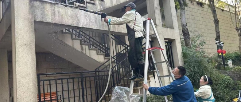 家园焕新 安心迎春 | 碧桂园服务重庆开展节